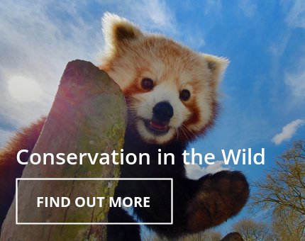 Wildlife Conservation at Woodside Wildlife Park 