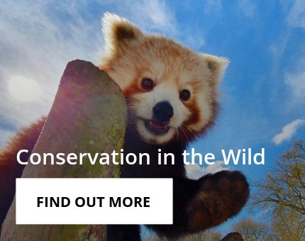 Wildlife Conservation at Woodside Wildlife Park 