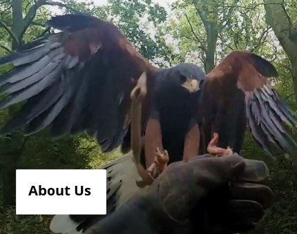 Plan Your Visit to Woodside Wildlife Park - About Us  