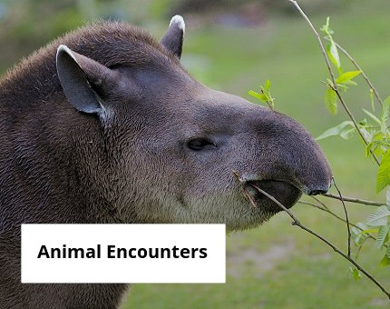 Gifts and Experiences at Woodside Wildlife Park - Animal Encounters