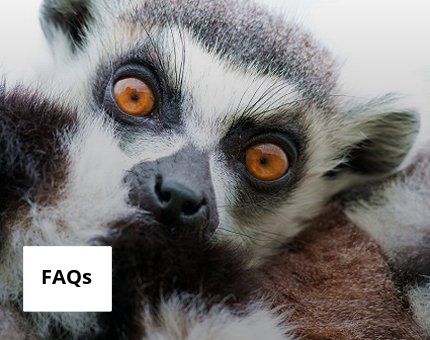 Plan Your Visit to Woodside Wildlife Park - FAQs