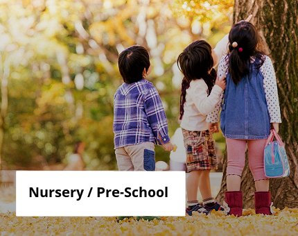 Education at Woodside Wildlife Park for nursery children