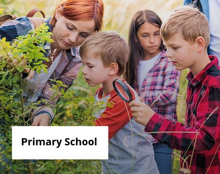 Education at Woodside Wildlife Park for primary children