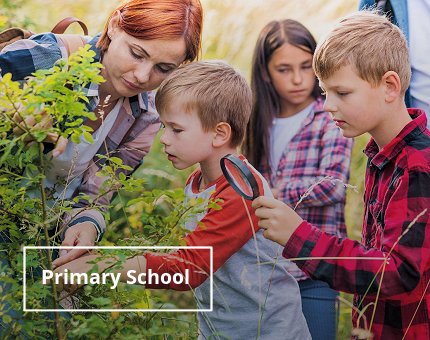 Education at Woodside Wildlife Park for primary children
