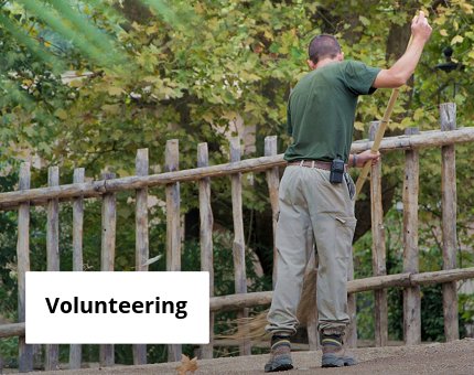 Education at Woodside Wildlife Park - Volunteering opportunities