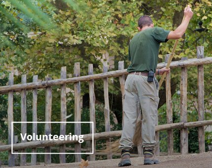 Education at Woodside Wildlife Park - Volunteering opportunities