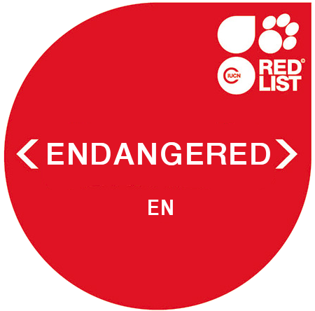 IUCN Red List - Endangered