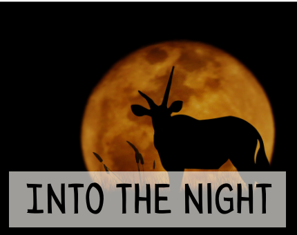 Events at Woodside Wildlife Park - Member Events